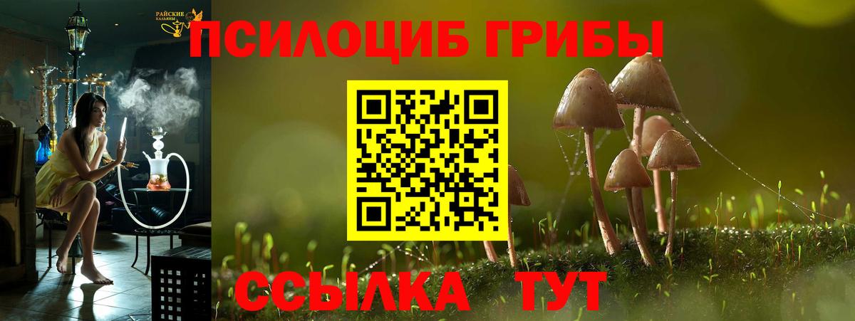 Саров  Галлюциногенные грибы Psilocybine cubensis  Вход с VPN 