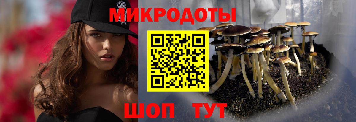 Галлюциногенные грибы Cubensis Саров